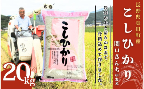 米 令和7年産 コシヒカリ 関口さんちのお米 20kg 1回 回数 お米 精米 白米 ブランド米 ご飯 872371 - 長野県上田市