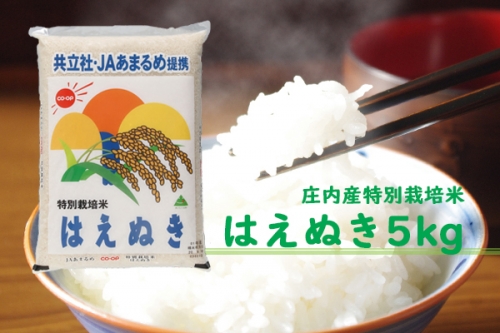 【080-008】庄内町余目産　特別栽培米はえぬき5kg