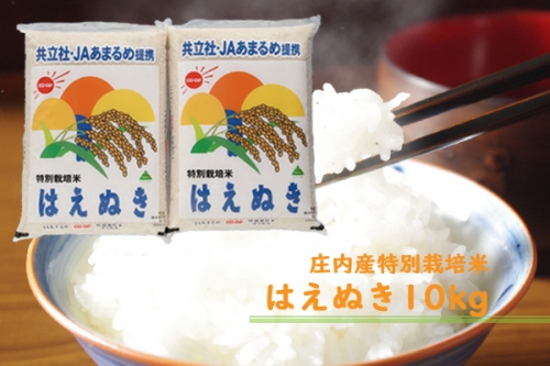 【081-015】庄内町余目産　特別栽培米はえぬき10kg