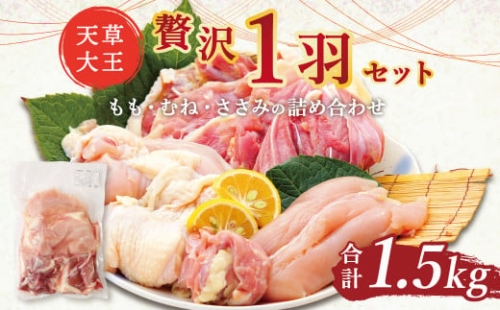 天草大王 贅沢 1羽 セット 計1.5kg もも むね ささみ 鶏肉 873739 - 熊本県益城町