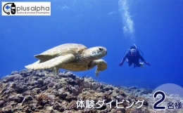 【ふるさと納税】ダイビングパラダイス！久米島で体験ダイビング【ペア】