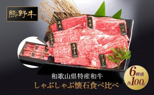 熊野牛 しゃぶしゃぶ懐石 6種盛り【MT46】 874094 - 和歌山県上富田町