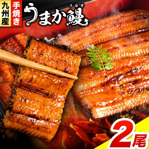 特価通販 うなぎ蒲焼き（大サイズ 2尾：約340ｇ）森うなぎ屋 国産 炭火