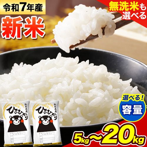 新米 無洗米 も選べる ひのひかり 5kg 10kg 15kg 20kg 令和7年産《10月中旬-12月末頃出荷》熊本県産 ふるさと納税 無洗米 白米 精米 ひの 米 こめ ふるさとのうぜい ヒノヒカリ コメ お米 おこめ 876382 - 熊本県御船町