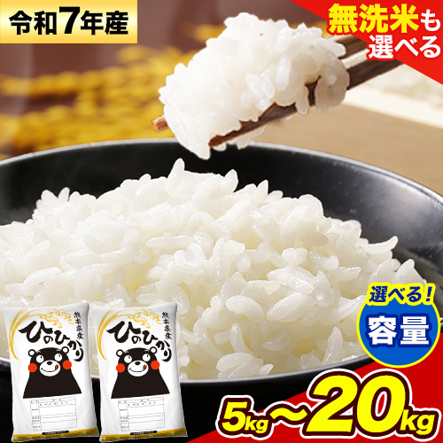 無洗米 も選べる ひのひかり 5kg 10kg 20kg 令和7年産《7-14日以内に出荷(土日祝を除く)》熊本県産 ふるさと納税 無洗米 白米 精米 ひの 米 こめ ふるさとのうぜい ヒノヒカリ コメ お米 おこめ 876382 - 熊本県御船町