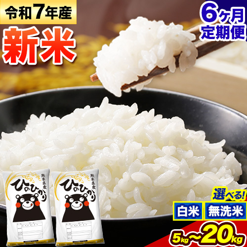 【6ヶ月定期便】新米 令和7年産 無洗米 も選べる ひのひかり 定期便あり 5kg 10kg 15kg 20kg《1月から出荷開始》 熊本県産 ふるさと納税 無洗米 白米 精米 ひの 米 こめ ふるさとのうぜい ヒノヒカリ コメ お米 876387 - 熊本県御船町
