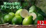 【高知県 大月町産】爽やかな香りの温室グリーンレモン　1.2kg