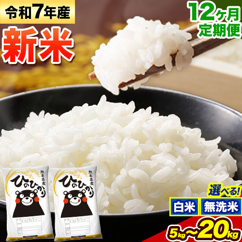 【12ヶ月定期便】新米 令和7年産 無洗米 も選べる ひのひかり 定期便あり 5kg 10kg 15kg 20kg 《1月から出荷開始》熊本県産 ふるさと納税 無洗米 白米 精米 ひの 米 こめ ふるさとのうぜい ヒノヒカリ コメ お米 876544 - 熊本県御船町