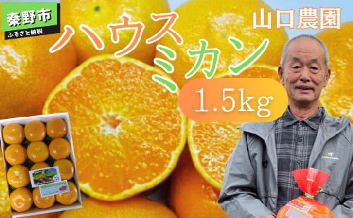 先行予約！７月以降順次発送 甘いハウスみかん（1.5㎏) 山口農園 神奈川県 秦野市 ハウス みかん 蜜柑 甘い おいしい 旬 ビタミンC 濃厚 化粧箱 ご贈答 贈り物 プレゼント 