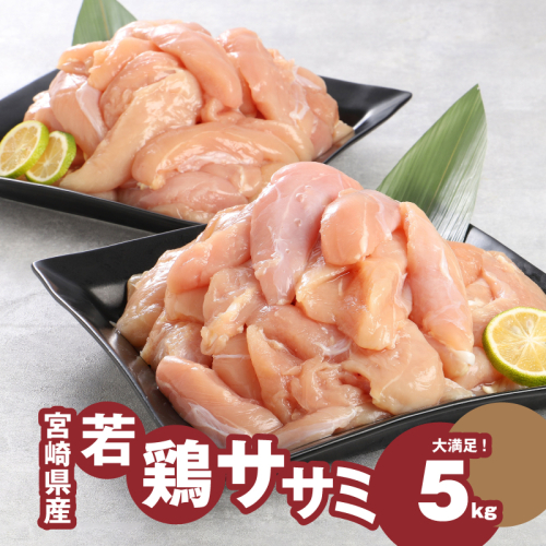 ＜宮崎県産若鶏ささみ　1kg×5パック＞ K16_0045_2 87714 - 宮崎県木城町