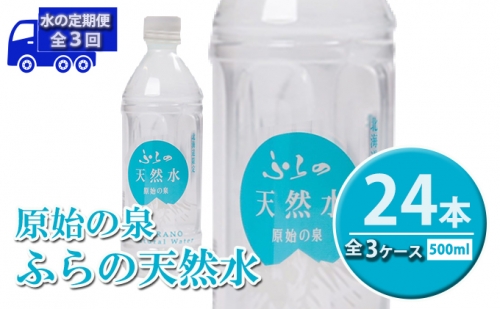 ≪3ヶ月定期便≫ふらの天然水【原始の泉】500ml×24本入  (水 新鮮 便利 天然 ペットボトル 北海道 送料無料 道産 富良野市 ふらの) 877643 - 北海道富良野市