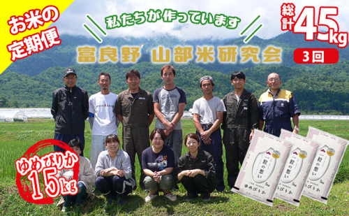 【令和6年度産】◆3ヵ月定期便◆ 富良野 山部米研究会【 ゆめぴりか 】精米 5kg×3袋（15kg）お米 米 ご飯 ごはん 白米 定期 送料無料 北海道 富良野市 道産 直送 ふらの 877668 - 北海道富良野市