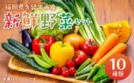 福岡県久留米市産　新鮮野菜セット