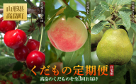 ≪2025年先行予約≫定期便3回 山形県 高畠町産 ご自宅用 品種おまかせ くだもの定期便(さくらんぼ、もも、ラ・フランス) 全3回お届け 2025年6月中旬から順次発送 初夏 夏 秋 冬 果実 果物 くだもの フルーツ 食べ比べ 訳あり 自宅 家庭 農家 事業者 支援品 産地直送 数量限定 F20B-715