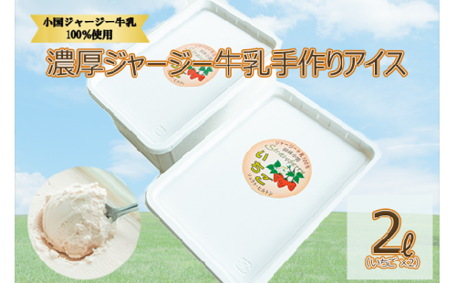  【大容量2L】濃厚ジャージー牛乳手作りアイス（1L×2個：いちご） 878050 - 熊本県小国町