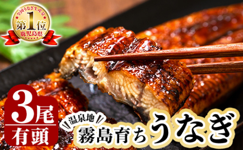 B-128-RT 霧島市育ちのあの「うなぎ」120～130g×3尾【田代水産】霧島市 鰻 ウナギ 蒲焼き 蒲焼 国産 878258 - 鹿児島県霧島市