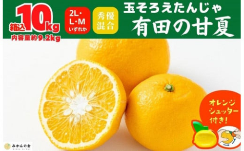 甘夏 玉ぞろい 箱込 10kg ( 内容量約 9.2kg ) 秀品 優品 混合 2L  L M サイズのいずれか 和歌山県 産地直送 ［皮むき器付き］ ［みかんの会］ 878549 - 和歌山県有田川町