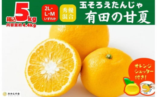 甘夏 玉ぞろい 箱込 5kg ( 内容量約 4.4kg ) 秀品 優品 混合 2L  L M サイズのいずれか 和歌山県 産地直送 ［皮むき器付き］ ［みかんの会］ 878551 - 和歌山県有田川町