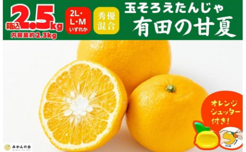 甘夏 玉ぞろい 箱込 2.5kg ( 内容量約 2.3kg ) 秀品 優品 混合 2L  L M サイズのいずれか 和歌山県 産地直送 ［皮むき器付き］ ［みかんの会］ 878552 - 和歌山県有田川町