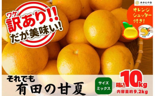 訳あり それでも 甘夏 箱込 10kg (内容量約9.2kg)  サイズミックス 産地直送 家庭用 皮むき器付き［みかんの会］ 878553 - 和歌山県有田川町