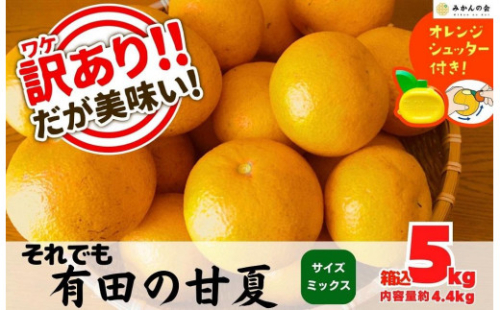 訳あり それでも 甘夏 箱込 5kg (内容量約4.4kg)  サイズミックス 産地直送 家庭用 皮むき器付き［みかんの会］ 878555 - 和歌山県有田川町