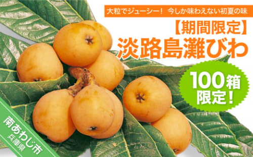 【期間限定・数量限定】淡路島灘びわ　◆配送6月～