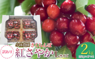 【令和6年産先行予約】【訳あり】紅さやか 2kg フードパック詰 Lサイズ 小林農園 さくらん坊