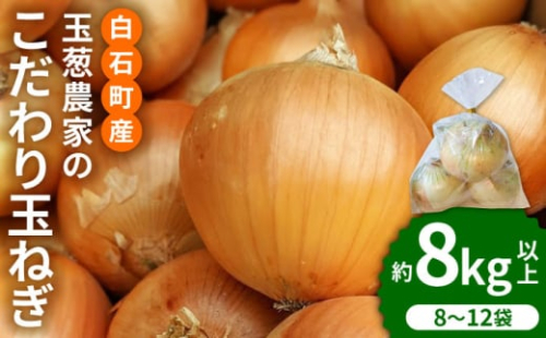 【先行予約】小分けがうれしい！玉葱農家のこだわり 玉ねぎ 約8kg以上（8～12袋）【玉葱農家 陣内ちひろ】玉葱 たまねぎ タマネギ 小分け 袋入り [IAO020]