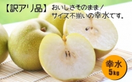 【訳あり品】柴沼梨園の梨（幸水）5kg