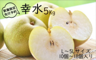 【先行予約】 柴沼梨園の梨（幸水）5kg