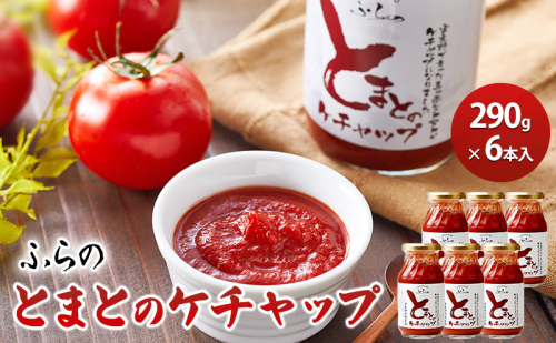 ふらの とまとのケチャップ 290g×6本入(調味料 加工品 ケチャップ トマト ソース 北海道 送料無料 道産 富良野市 ふらの) 879182 - 北海道富良野市