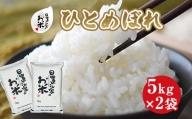 １５７．日置さん家のお米「ひとめぼれ」5kg×2袋【玄米・2024年産】
