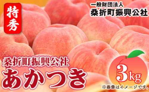 もも【あかつき・2026年産先行受付】特秀3kg（9～11玉）桑折町振興公社 ／ もも モモ 果物 フルーツ 旬 甘い 甘み ジューシー 果肉 果汁 新鮮 フレッシュ デザート おいしい 産地直送 桑折 こおり こおりまち 福島県 特産品 No.181