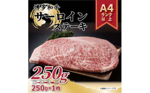 2023年7月発送開始『定期便』博多和牛サーロインステーキ　250g[250g×1枚]全3回【5158483】