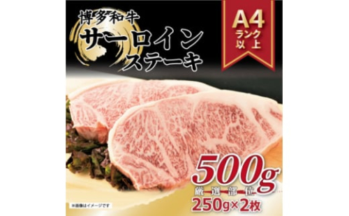 2023年7月発送開始『定期便』博多和牛サーロインステーキ500g(250g×2枚)全3回【5158507】