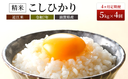 【定期便】令和7年産　豊かな郷の近江米（コシヒカリ）5kg×4ヶ月連続 お米 4回 箱入り  88014 - 滋賀県豊郷町