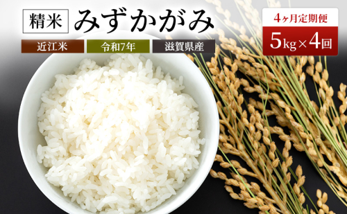 【定期便】令和7年産　豊かな郷の近江米（みずかがみ）5kg×4ヶ月連続 お米 4回 箱入り  88021 - 滋賀県豊郷町