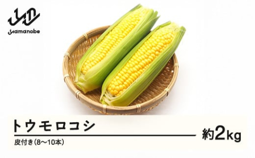 ≪先行予約≫ 2025年 山形県産 トウモロコシ 2kg以上（8~10本）皮付き 2025年7月下旬から順次発送 野菜 とうもろこし F21A-369