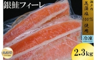 B24-353 冷凍定塩 銀鮭フィーレ 2.3kg以上
