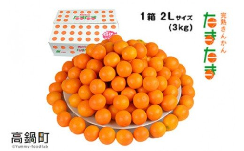 ＜“厳選”完熟きんかん「たまたま」2L×3kg 1箱＞2025年1月下旬～2月下旬迄に順次出荷 金柑 柑橘 果物 88086 - 宮崎県高鍋町