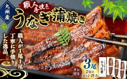 ＜職人手焼き九州産うなぎ 蒲焼き3尾（6切れ）計390g前後＞ 88098 - 宮崎県高鍋町