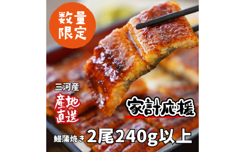 【通常発送】生産者｢愛知養魚｣がお届けする三河産うなぎ「蒲焼冷凍2尾」(合計240g～250g) ≪冷凍≫ 鰻 ウナギ 国産うなぎ 蒲焼き 愛知県 西尾市 たれ付き 海鮮 惣菜生産者｢愛知養魚｣がお届け 丑の日 土用の丑の日 ・A092-12