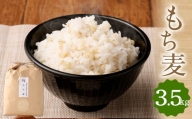 もち麦 3.5㎏ 福岡県産 大麦 くすもち二条