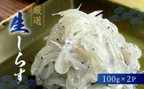 H6019n_厳選 生しらす (100g×2P) 881866 - 和歌山県湯浅町