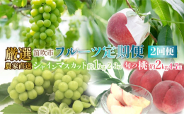 もも・ぶどうの生産量日本一の郷笛吹市。水はけがよく夏冬や朝夜の寒暖差がとてもある土地で、日照時間も長く果樹栽培に適した土地で下記のように世界農業遺産に認定されている地域です。さらにその中でも品質にこだ