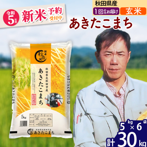 新米予約】秋田県産あきたこまち30kg (5kg×6袋) (玄米) 令和5年産