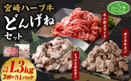 [宮崎ハーブ牛どんげねセット]