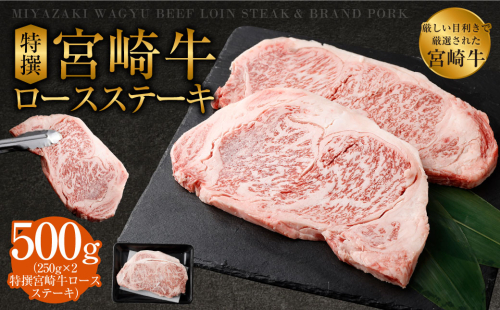 ＜特撰宮崎牛ロースステーキ 500g＞ 88254 - 宮崎県高鍋町