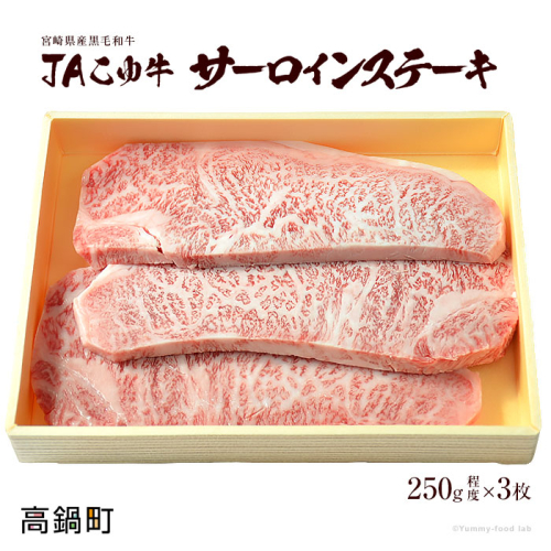 ＜JAこゆ牛A4～サーロインステーキ 250g程度×3枚＞ 88259 - 宮崎県高鍋町