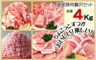 ＜1～2か月待ち＞肉屋のプロ厳選!北海道産豚肉 贅沢詰め合わせセット4kg[A1-57B]